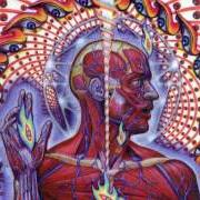 The lyrics LATERALUS of TOOL is also present in the album Lateralus (2001)