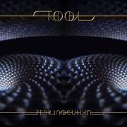The lyrics DESCENDING of TOOL is also present in the album Fear inoculum (2019)