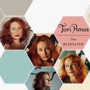 The lyrics THE POWER OF ORANGE KNICKERS of TORI AMOS is also present in the album The beekeeper (2005)