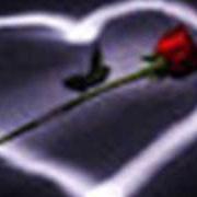 Come noi nessuno al mondo