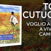 The lyrics A RIO of TOTO CUTUGNO is also present in the album Voglio andare a vivere in campagna (1995)