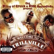 The lyrics DOOKIE LOVE PUBLIC SERVICE ANNOUNCEMENT of TRILLVILLE is also present in the album The king of crunk & bme recordings present: trillville (2004)
