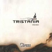 The lyrics THE GATE of TRISTANIA is also present in the album Ashes (2005)