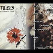 As feathers to flowers and petals to wings