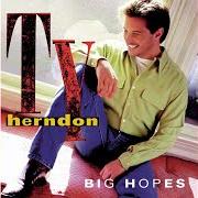 The lyrics HANDS OF A WORKING MAN of TY HERNDON is also present in the album Big hopes (1998)