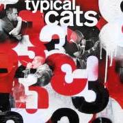The lyrics CHANGING ROOM of TYPICAL CATS is also present in the album 3 (2012)