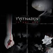 The lyrics HATE of TYSTNADEN is also present in the album In our eye (2008)