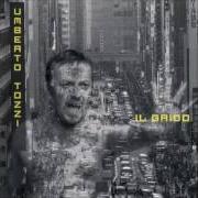 The lyrics IL GRIDO of UMBERTO TOZZI is also present in the album Il grido (1996)