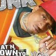 The lyrics SLOW IT UP of UNK is also present in the album Beat'n down yo block! (2006)