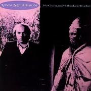 The lyrics ONE IRISH ROVER of VAN MORRISON is also present in the album No guru, no method, no teacher (1986)