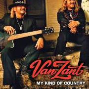 The lyrics IT'S ONLY MONEY of VAN ZANT is also present in the album My kind of country (2007)