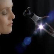 The lyrics IRRÉSISTIBLEMENT of VANESSA PARADIS is also present in the album Divinidylle (2007)