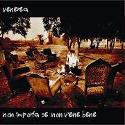 The lyrics MI PIACEVA of VENEREA is also present in the album Non importa se non viene bene (2006)