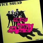 The lyrics PLAYGROUND of VICE SQUAD is also present in the album Shot away (1994)