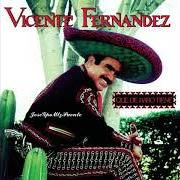 The lyrics MALDITA SEA of VICENTE FERNANDEZ is also present in the album Qué de raro tiene (1992)