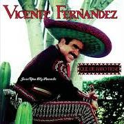 The lyrics SONANDO EN GARIBALDI of VICENTE FERNANDEZ is also present in the album Qué de raro tiene (1992)