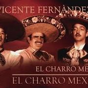 The lyrics MI CARIÑITO of VICENTE FERNANDEZ is also present in the album El charro mexicano (1991)