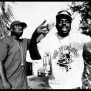 The lyrics FAKE NIGGAS (SKIT) of WC is also present in the album Ghetto heisman (2002)
