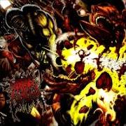 The lyrics RAPED, PILLAGED, AND GUT of WAKING THE CADAVER is also present in the album Perverse recollections of a necromangler (2007)