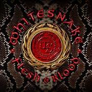 The lyrics GONNA BE ALRIGHT (X-TENDO MIX) of WHITESNAKE is also present in the album Flesh & blood (2019)