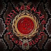 The lyrics CAN'T DO RIGHT FOR DOING WRONG of WHITESNAKE is also present in the album Flesh & blood (2019)
