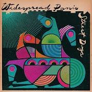 The lyrics CEASE FIRE of WIDESPREAD PANIC is also present in the album Street dogs (2015)