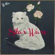 The lyrics EKG of WILCO is also present in the album Star wars (2015)