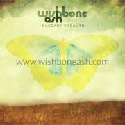 The lyrics BIG ISSUES of WISHBONE ASH is also present in the album Elegant stealth (2011)