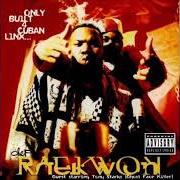 The lyrics INCARCERATED SCARFACES of WU-TANG CLAN is also present in the album Only built 4 cuban linx