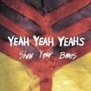 The lyrics TURN INTO of YEAH YEAH YEAHS is also present in the album Show your bones (2006)