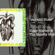 The lyrics GARDEN of ZIGGY MARLEY is also present in the album Joy and blues (1993)