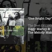 The lyrics LOVE IS THE ONLY LAW of ZIGGY MARLEY is also present in the album One bright day (1989)