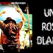 The lyrics L'URLO of ZUCCHERO is also present in the album Una rosa blanca (2013)