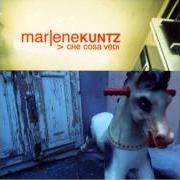 The lyrics GRAZIE of MARLENE KUNTZ is also present in the album Che cosa vedi (2000)