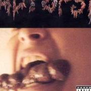 The lyrics EXCREMENTAL ECSTASY of AUTOPSY is also present in the album Shitfun (1995)