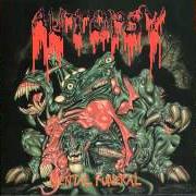 The lyrics ROBBING THE GRAVE of AUTOPSY is also present in the album Mental funeral (1991)