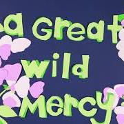 The lyrics A BOOK OF QUESTIONS of CARRIE NEWCOMER is also present in the album A great wild mercy (2023)