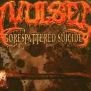 The lyrics 4 N SICK of AVULSED is also present in the album Gorespattered suicide (2005)