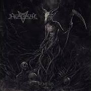 The lyrics HAIL THE WHORE of AZAGHAL is also present in the album Nemesis (2012)