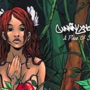 The lyrics AMERICA LOVES GANGSTERS of CUNNINLYNGUISTS is also present in the album A piece of strange (2006)