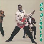 The lyrics SHE'S FINE, SHE'S MINE of BO DIDDLEY is also present in the album I'm a man - the chess masters 1955-1958