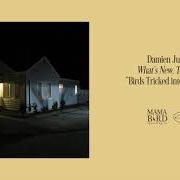 The lyrics BIRDS TRICKED INTO THE TREES of DAMIEN JURADO is also present in the album What's new, tomboy? (2020)