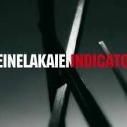 The lyrics ONE NIGHT of DEINE LAKAIEN is also present in the album Indicator (2010)