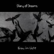 The lyrics SCHWARZ of DIARY OF DREAMS is also present in the album Grau im licht (2015)