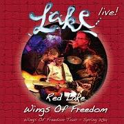 Wings of freedom