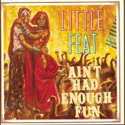 The lyrics ROCK & ROLL EVERYNIGHT of LITTLE FEAT is also present in the album Ain't had enough fun (1995)