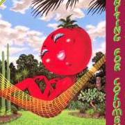 The lyrics DIXIE CHICKEN of LITTLE FEAT is also present in the album Dixie chicken (1973)