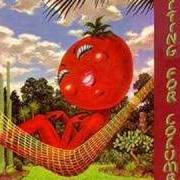 The lyrics OLD FOLKS BOOGIE of LITTLE FEAT is also present in the album Time loves a hero (1977)