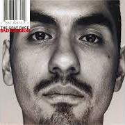 The lyrics PARALLEL of BAD RELIGION is also present in the album The gray race (1996)