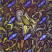 The lyrics ENTROPY of BAD RELIGION is also present in the album Against the grain (1990)